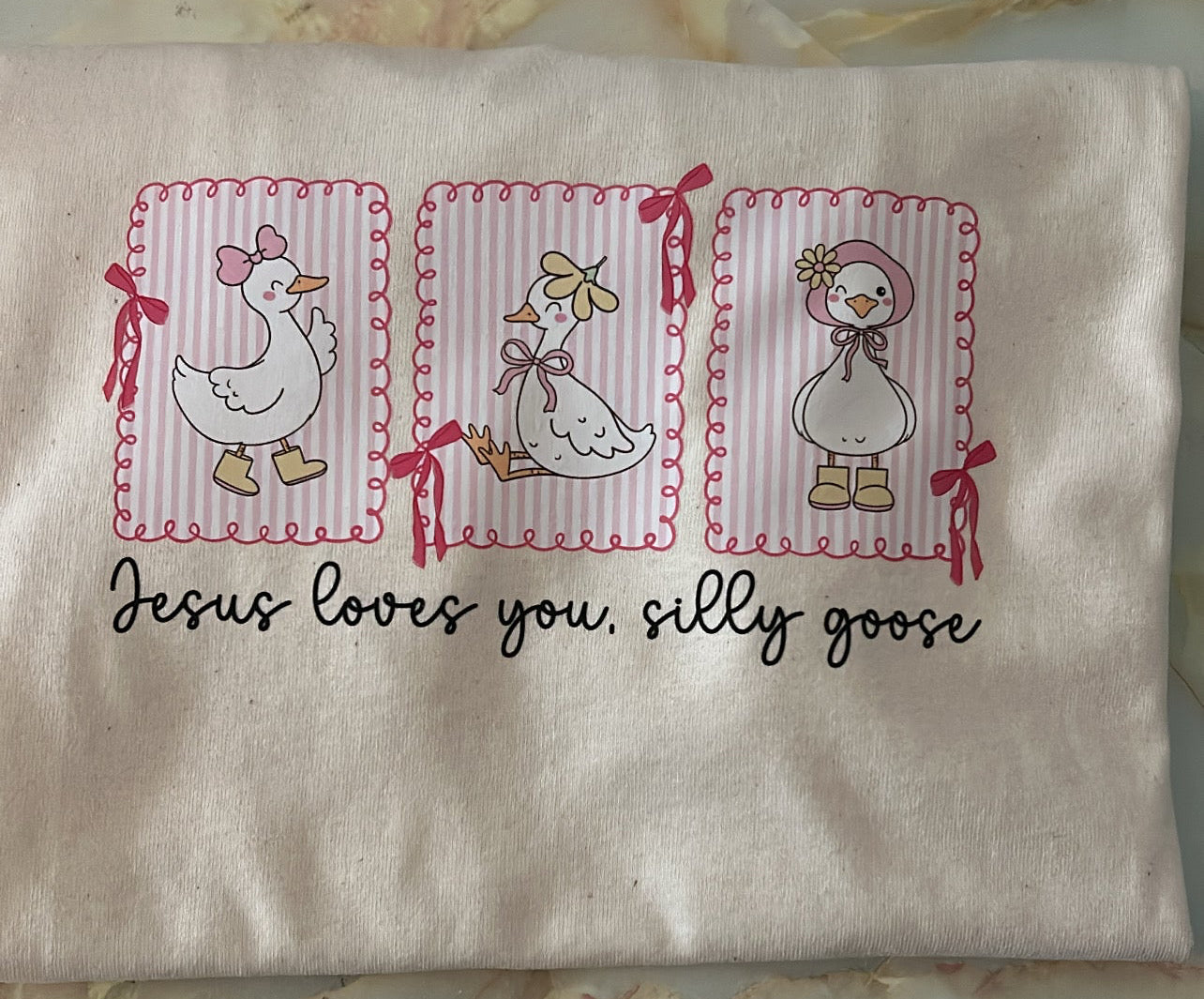 Jesus Loves you , Silly goose